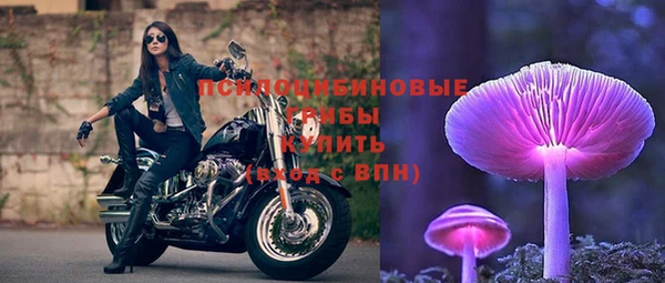 крисы Волосово
