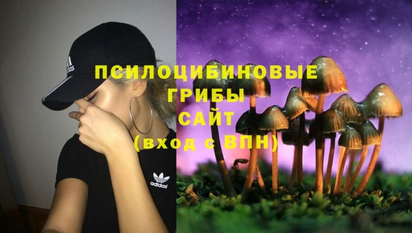 крисы Волосово