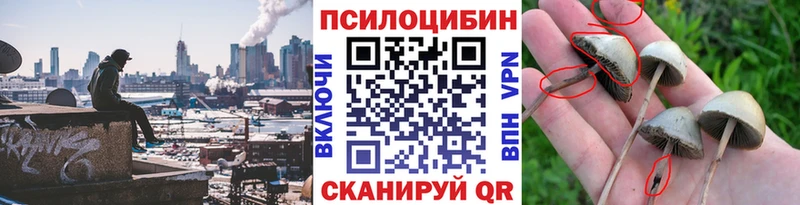 Галлюциногенные грибы Psilocybe  купить  сайты  Руза 